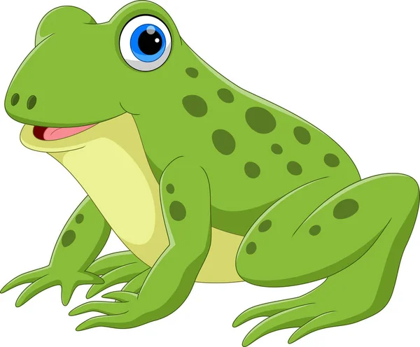 Vector Illustration Cute Frog Cartoon — Stock Vector
