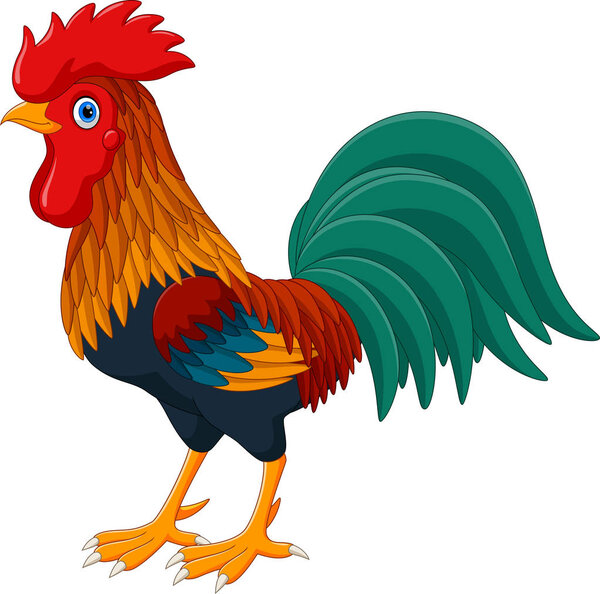Happy rooster cartoon isolated on white background 