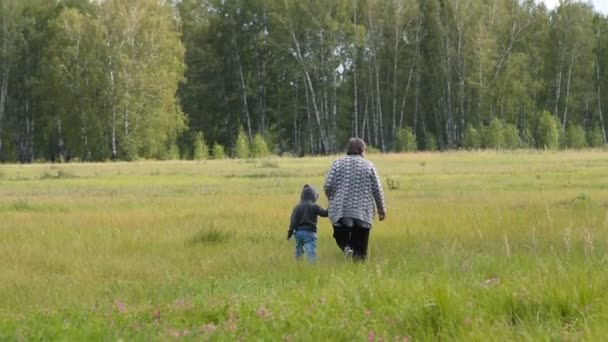 Avó e neto caminhando no campo — Vídeo de Stock