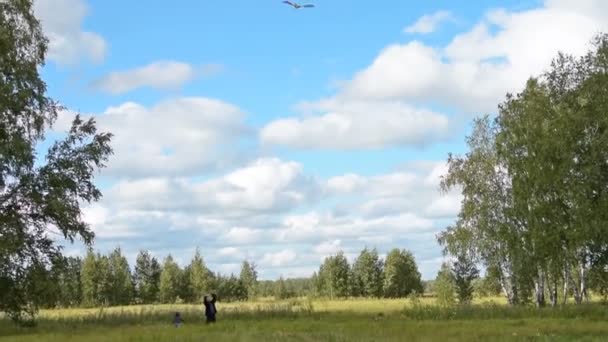 Дедушка и внук запускают воздушного змея в сельской местности — стоковое видео