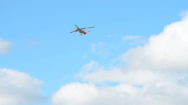 Cerf-volant de couleur arc-en-ciel volant dans un vent fort contre le ciel — Video