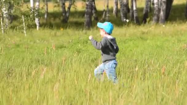 Маленький мальчик бегает по сельской местности — стоковое видео