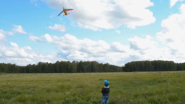 Kind fliegt Drachen auf dem Land — Stockvideo