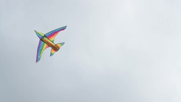 Pipa arco-íris voando contra o céu nublado — Vídeo de Stock