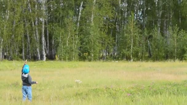 Petit garçon volant cerf-volant dans les bois — Video