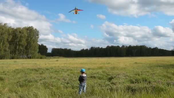 Malé dítě létání draka v lese — Stock video