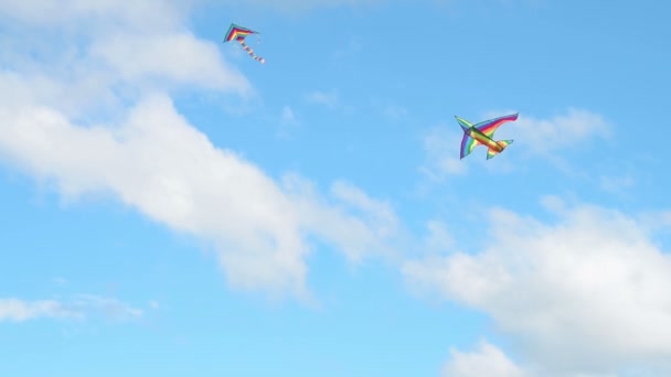 Two kites flying in blue sky — Stock Video