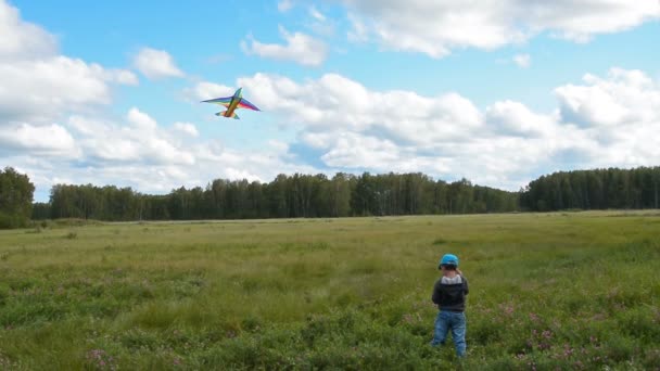 Petit enfant volant cerf-volant dans la campagne — Video