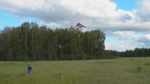 Klein kind vliegen kleurrijke kite in het bos — Stockvideo