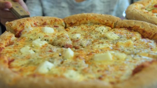 Appetizing cheese pizza — Stock Video