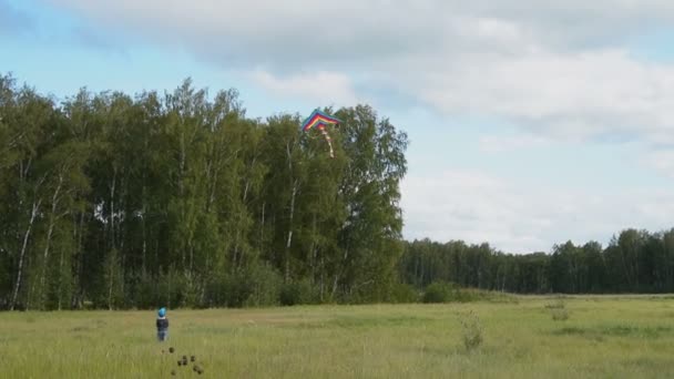 Boy létání barevné draka na venkově — Stock video