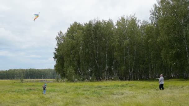 Бабуся з онуком літаючим змієм — стокове відео