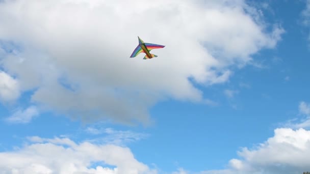 Vrouw met kite buiten — Stockvideo