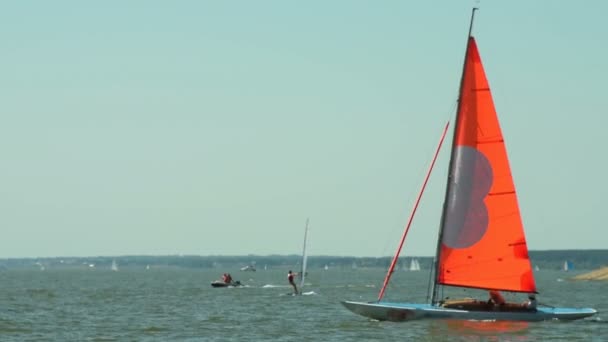 Zeilboot en windsurfers — Stockvideo