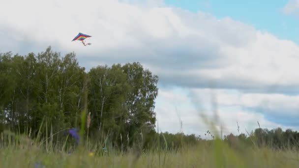 与风筝的乐趣 — 图库视频影像