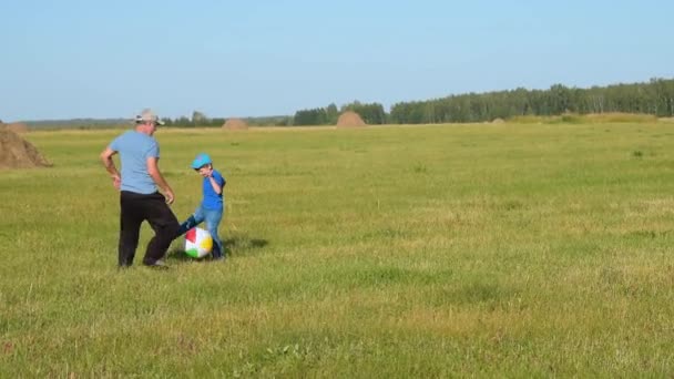 Morfar och barnbarn spelar fotboll i landet — Stockvideo