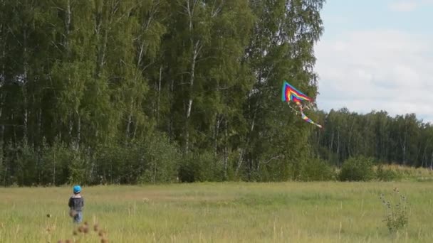 Diversión con cometa en el campo — Vídeos de Stock