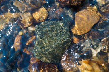 Sığ bir dağ nehrinin dibindeki taşlar