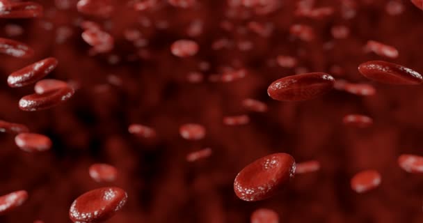 Eritrocitos Glóbulos Rojos Componente Principal Sangre Responsable Entrega Oxígeno Prevención — Vídeos de Stock