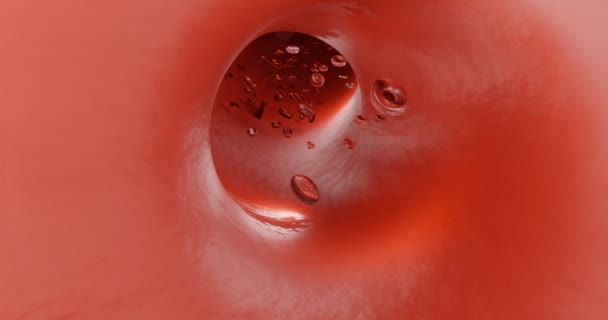 红细胞或红血球 它是血液的主要成分 负责输送氧气和防止和消除病原体Corona病毒Covid 医学说明 3D渲染 — 图库视频影像