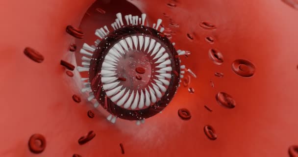 Corona Vírus Betegség Covid Fertőzés Orvosi Illusztráció Corona Vírus Hivatalos — Stock videók