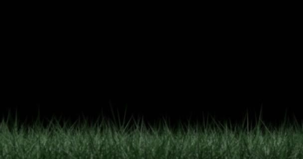 Klasyczna Piłka Nożna Obracająca Się Zielonym Polu Czarnym Tłem — Wideo stockowe