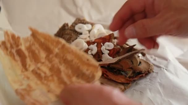 Chinese Kruiden Chinese Kruidengeneeskunde Afgeleid Van Natuur Bijvoorbeeld Champignons Wortels — Stockvideo