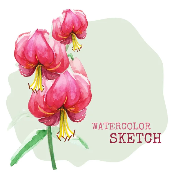 Watercolor Painted Vector Pink Flowers Watercolor Sketch — Stock Vector