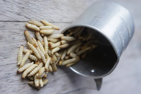 Bir Ölçme Fincan Içinde Donmuş Balmumu Güve Larva Telifsiz Stok Fotoğraflar