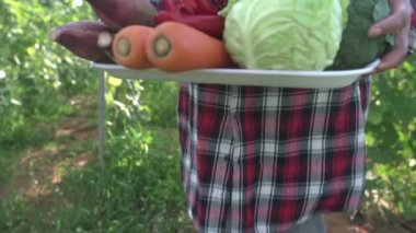 Asyalı kadın çiftçinin taze sebzeli görüntüleri. 