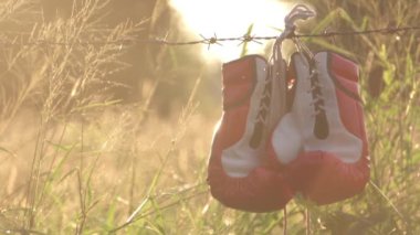 Dikenli tellere asılmış boks eldivenleri