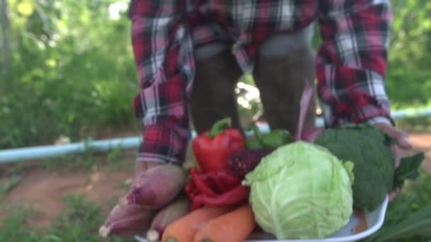 야채를 가지고 아시아 농부의 — 비디오