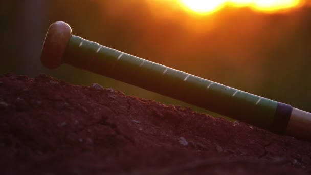 Footage Slow Motion Baseball Player Hand Picking Baseball Bat Training — Stock Video