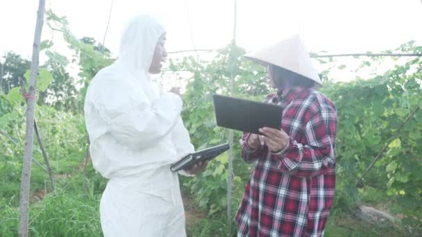 Wetenschappers Vrouwelijke Boeren Controleren Contaminanten Plantaardige Conversie Slow Motion Beelden — Stockvideo