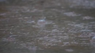 Yerdeki yağmur damlalarının yavaş çekimde düşüşünün görüntüleri