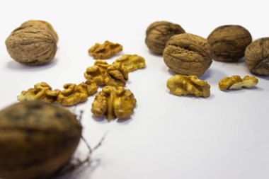 Ceviz çekirdeği ve ceviz. Beyaz arkaplanda fındık