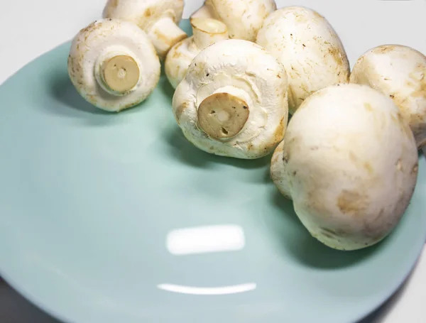 Bunch of fresh and clean champignon mushrooms on blue plate and white background
