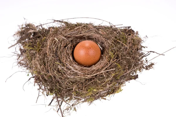 Big Brown Egg Natural Small Bird Nest — Stock Photo, Image