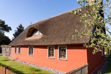 Tipik köy evi reed ile çatı Usedom, Almanya