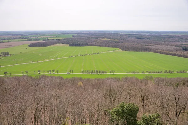 İlkbaharda yukarıdan tarlalar ve yollar