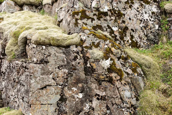 Typische Landschap Van Ijsland Stenen Bedekt Met Groene Mos — Stockfoto