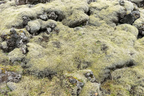 Stenen Bedekt Met Groene Mos Het Ijslandse Landschap — Stockfoto