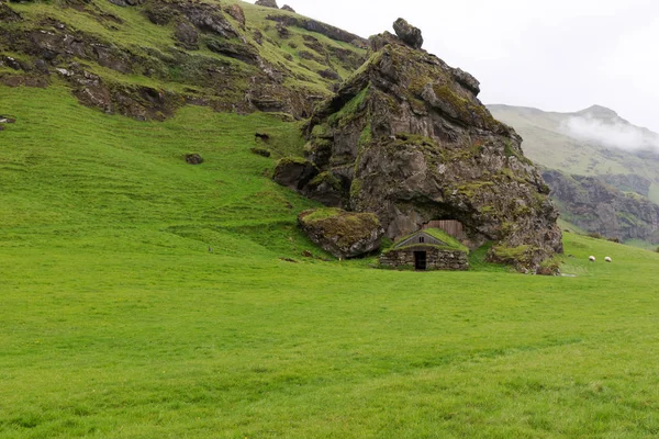冰岛岩石绿色屋顶的老小屋 — 图库照片