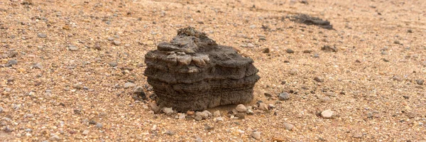 Single Dark Brown Lava Stone Bright Ground — Stock Photo, Image