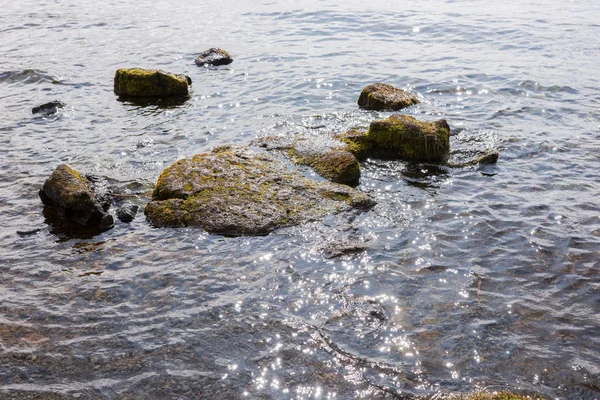 Pierres Recouvertes Mousse Verte Dans Lac — Photo