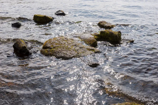 Piedras Cubiertas Musgo Verde Lago —  Fotos de Stock