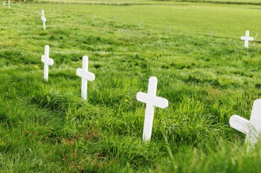 Beyaz ahşap İzlanda geleneksel bir mezarlıkta üzerinde haçlar