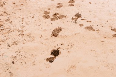 İnsan ayak izleri ile çamur yere. Toprak arka plan