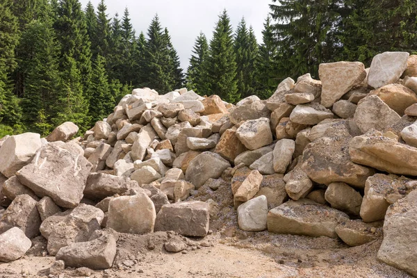 Gebouw Puin Van Grote Stenen Liggen Het Bos — Stockfoto