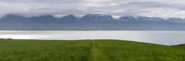 Cesta Přes Louku Fjord Islandu — Stock fotografie